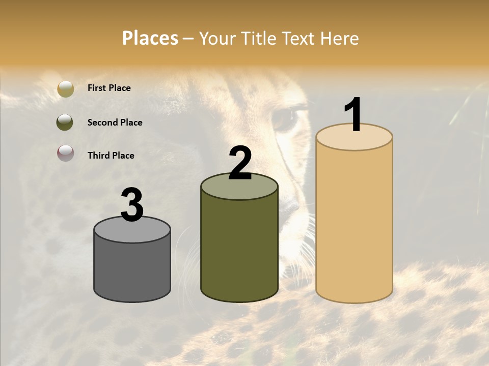 Fauna Animal Animales PowerPoint Template