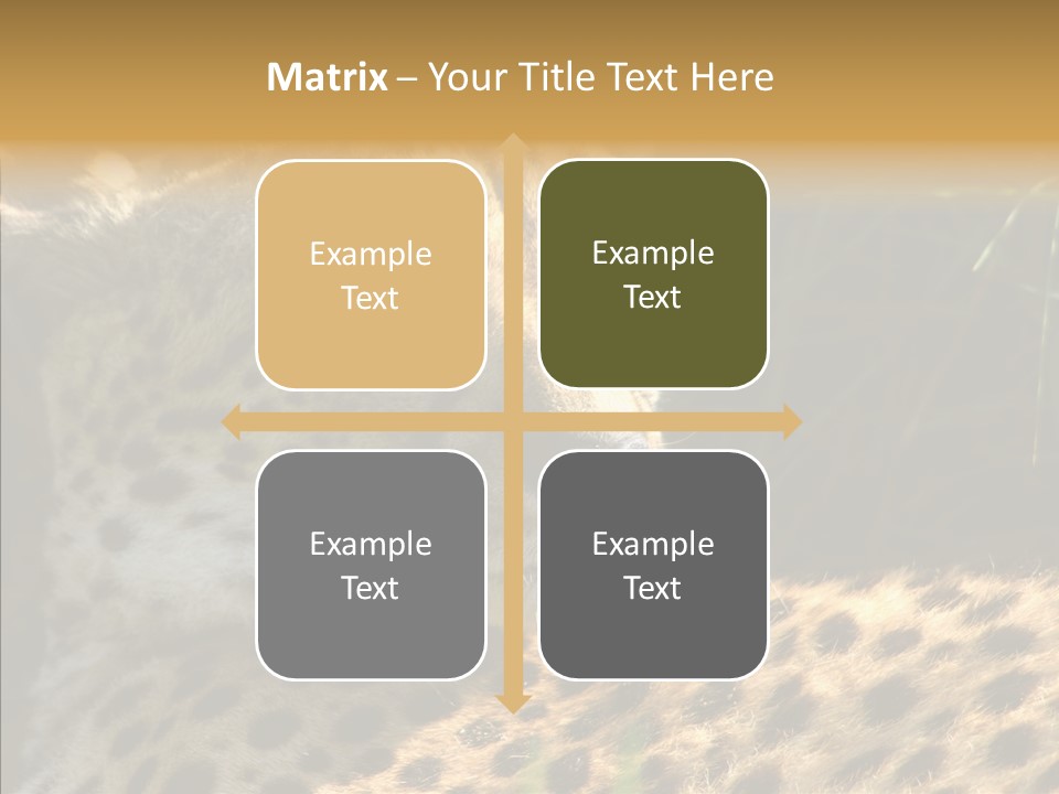 Fauna Animal Animales PowerPoint Template