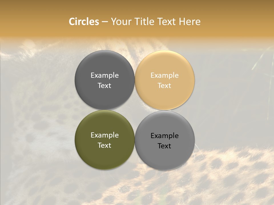 Fauna Animal Animales PowerPoint Template