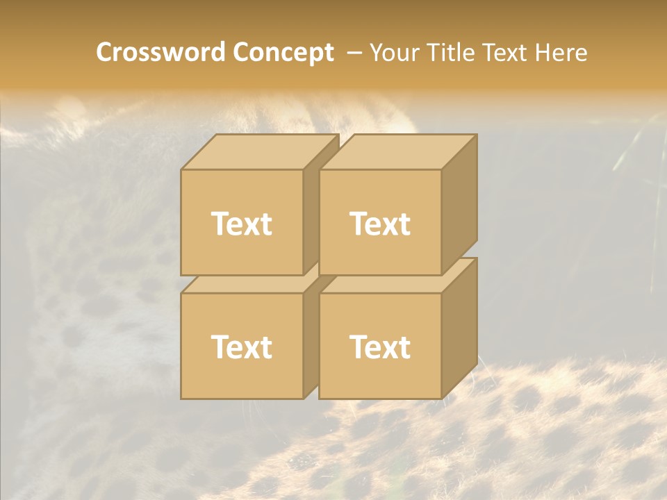 Fauna Animal Animales PowerPoint Template