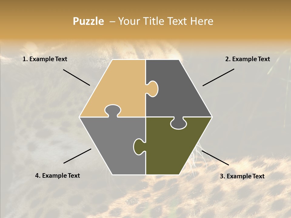 Fauna Animal Animales PowerPoint Template