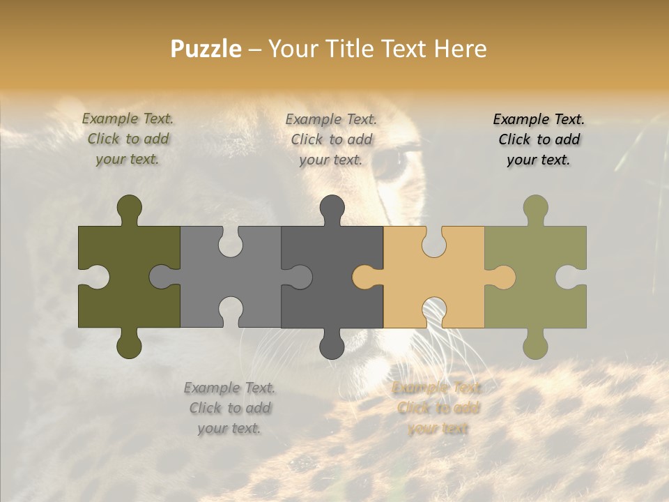 Fauna Animal Animales PowerPoint Template