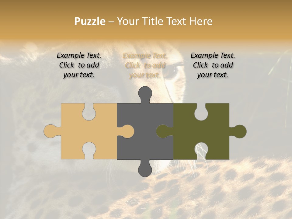 Fauna Animal Animales PowerPoint Template