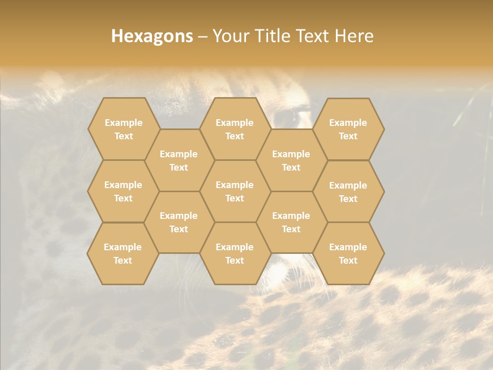 Fauna Animal Animales PowerPoint Template