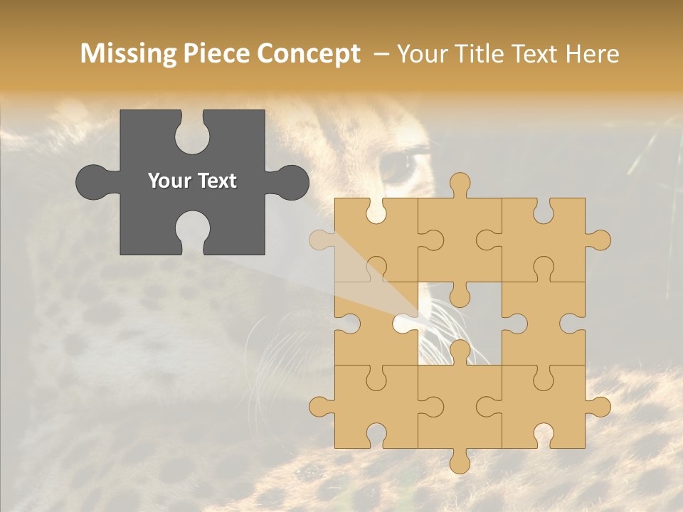 Fauna Animal Animales PowerPoint Template