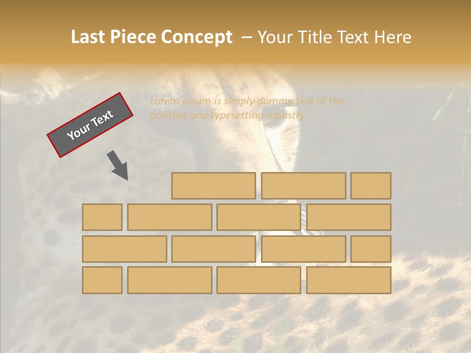 Fauna Animal Animales PowerPoint Template