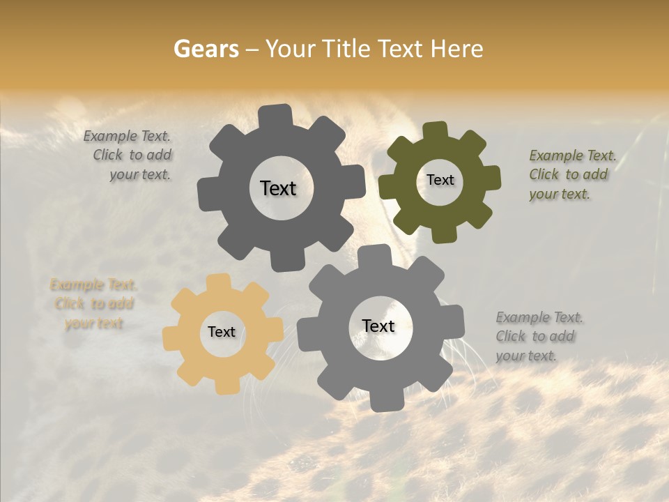 Fauna Animal Animales PowerPoint Template