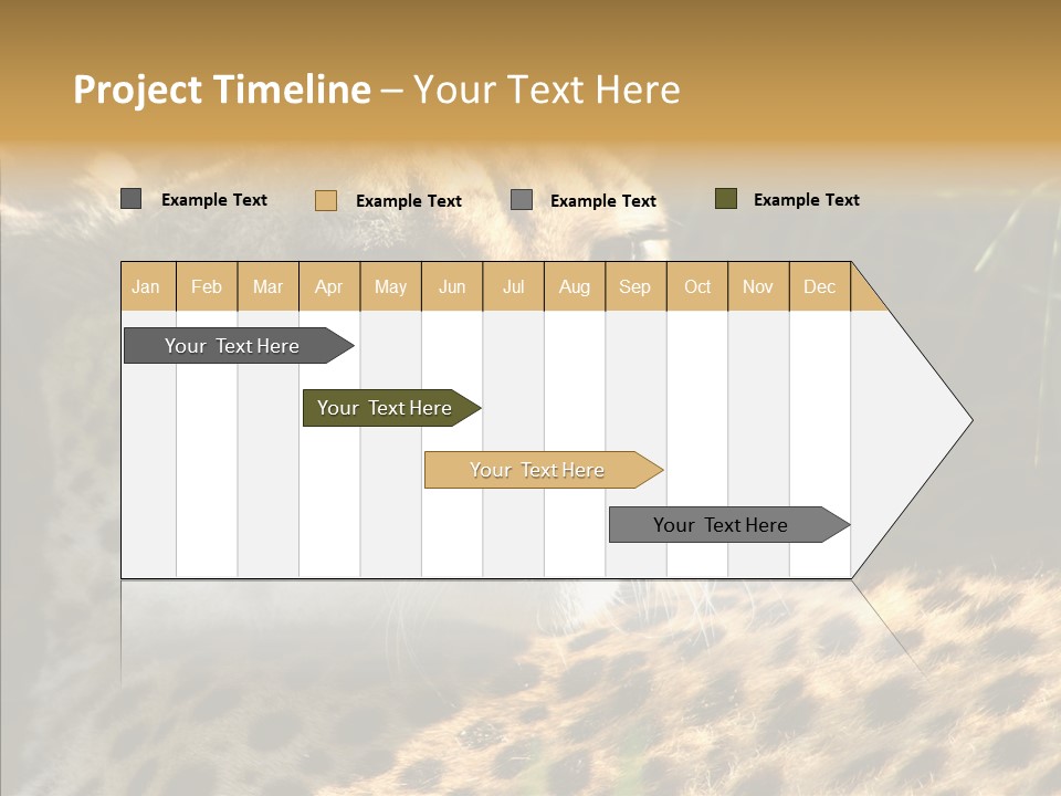 Fauna Animal Animales PowerPoint Template