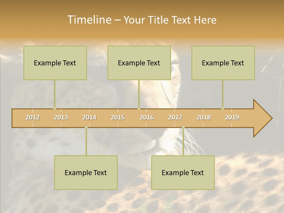 Fauna Animal Animales PowerPoint Template