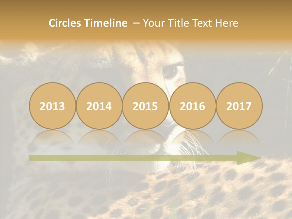 Fauna Animal Animales PowerPoint Template