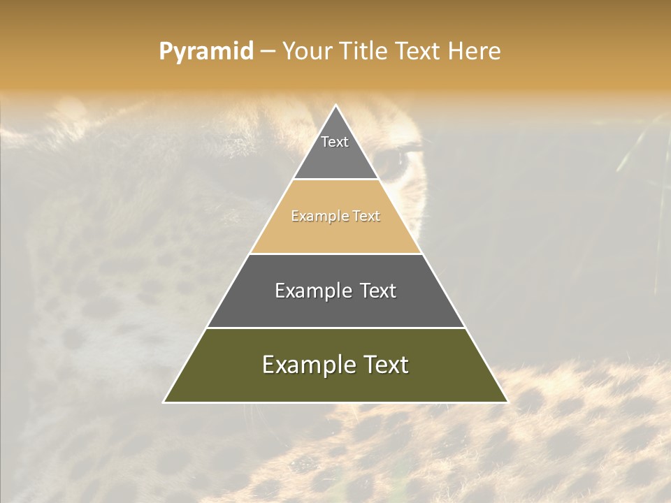 Fauna Animal Animales PowerPoint Template