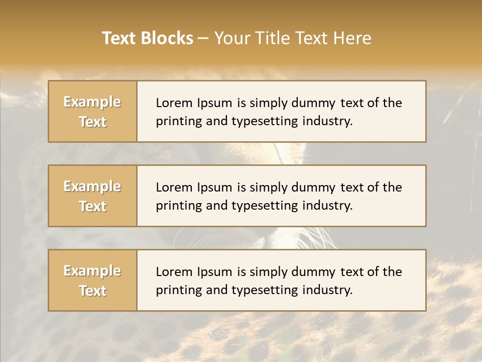 Fauna Animal Animales PowerPoint Template