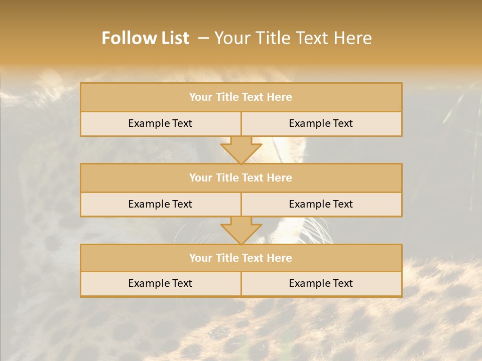 Fauna Animal Animales PowerPoint Template