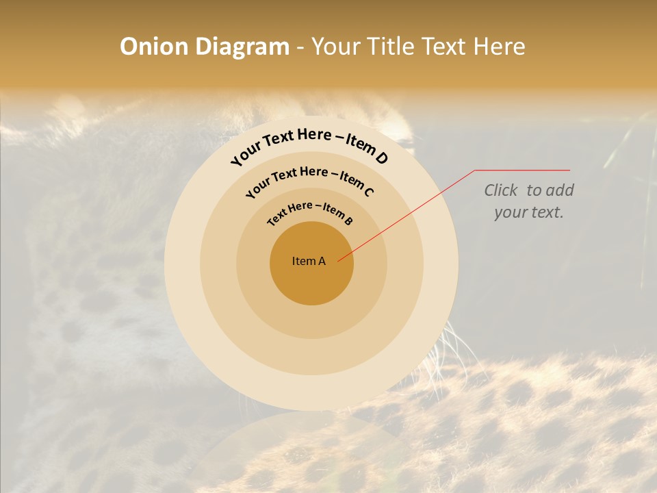 Fauna Animal Animales PowerPoint Template