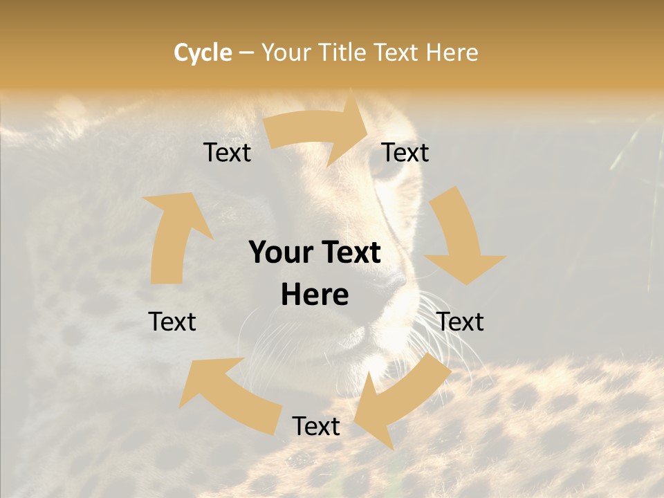 Fauna Animal Animales PowerPoint Template