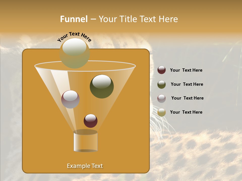 Fauna Animal Animales PowerPoint Template