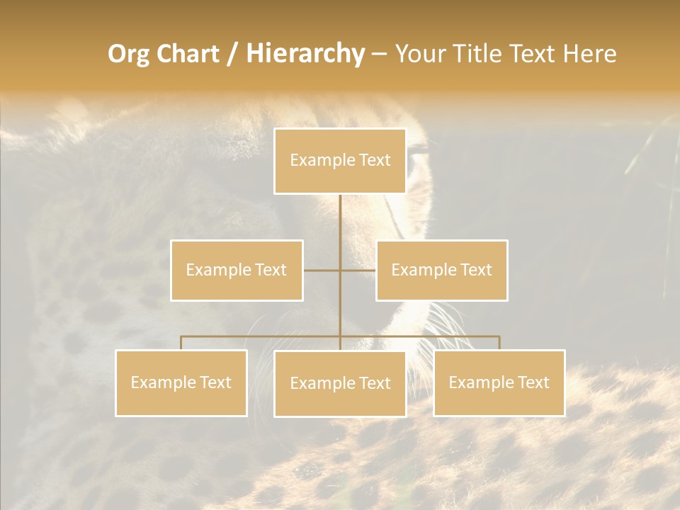 Fauna Animal Animales PowerPoint Template