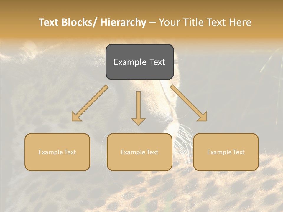 Fauna Animal Animales PowerPoint Template