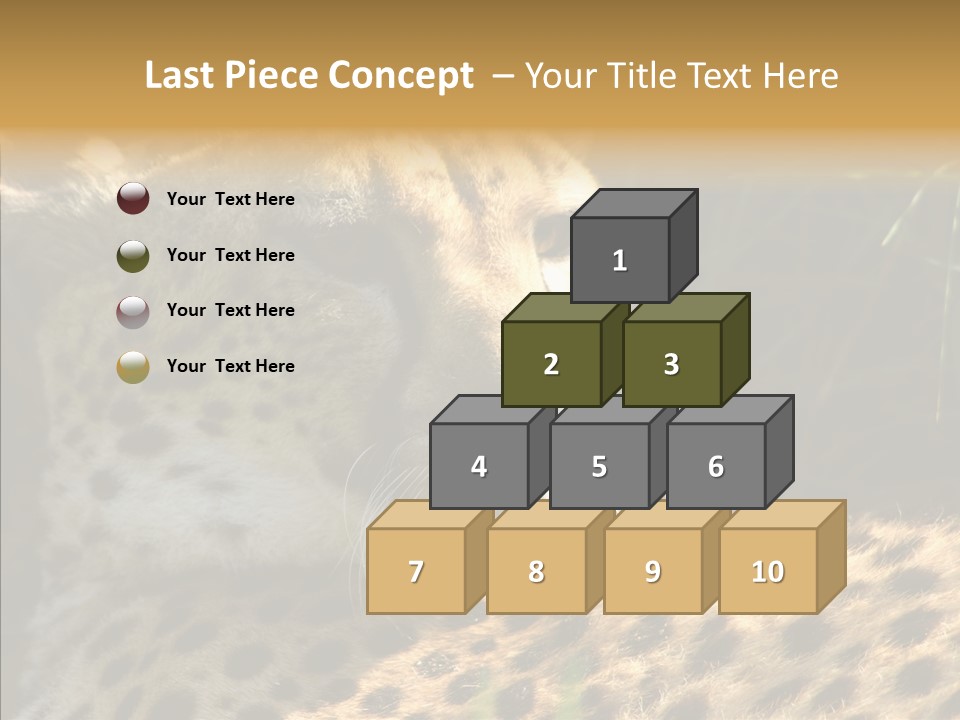 Fauna Animal Animales PowerPoint Template