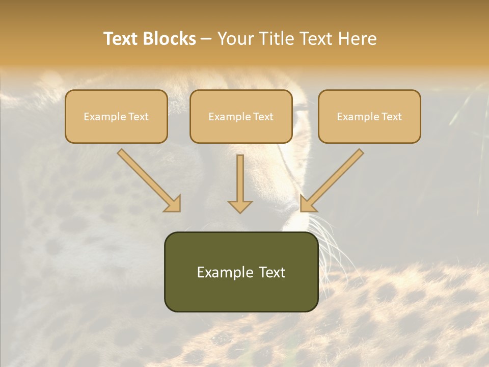 Fauna Animal Animales PowerPoint Template