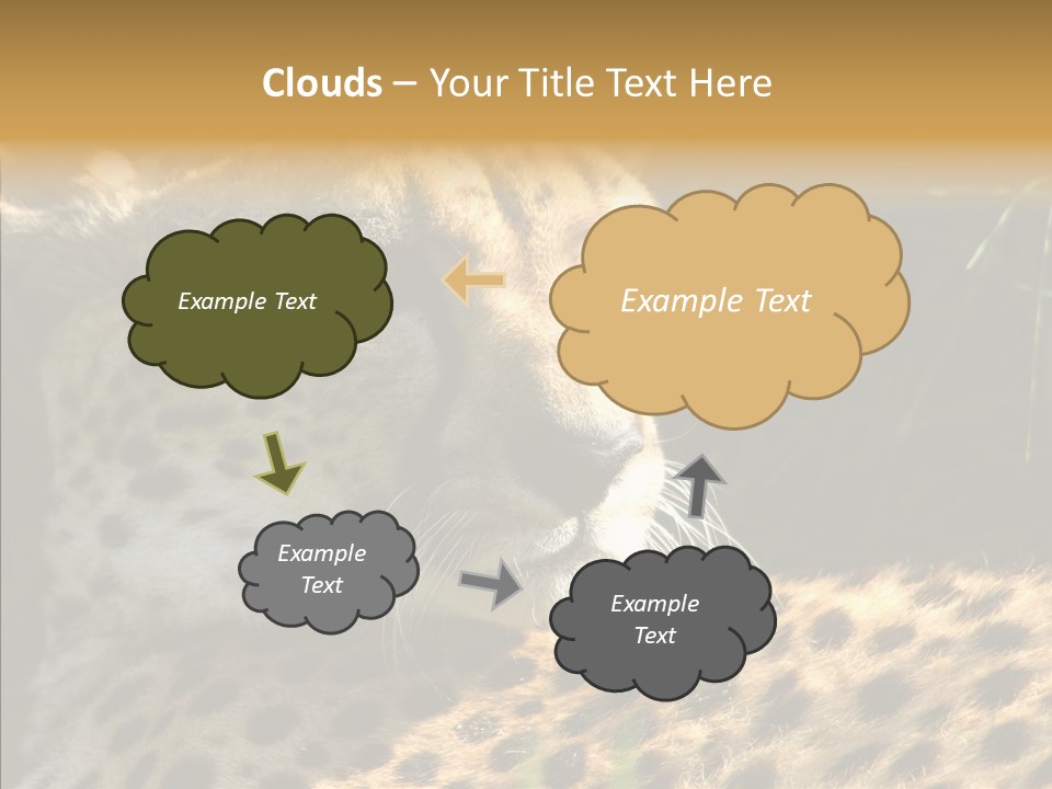 Fauna Animal Animales PowerPoint Template