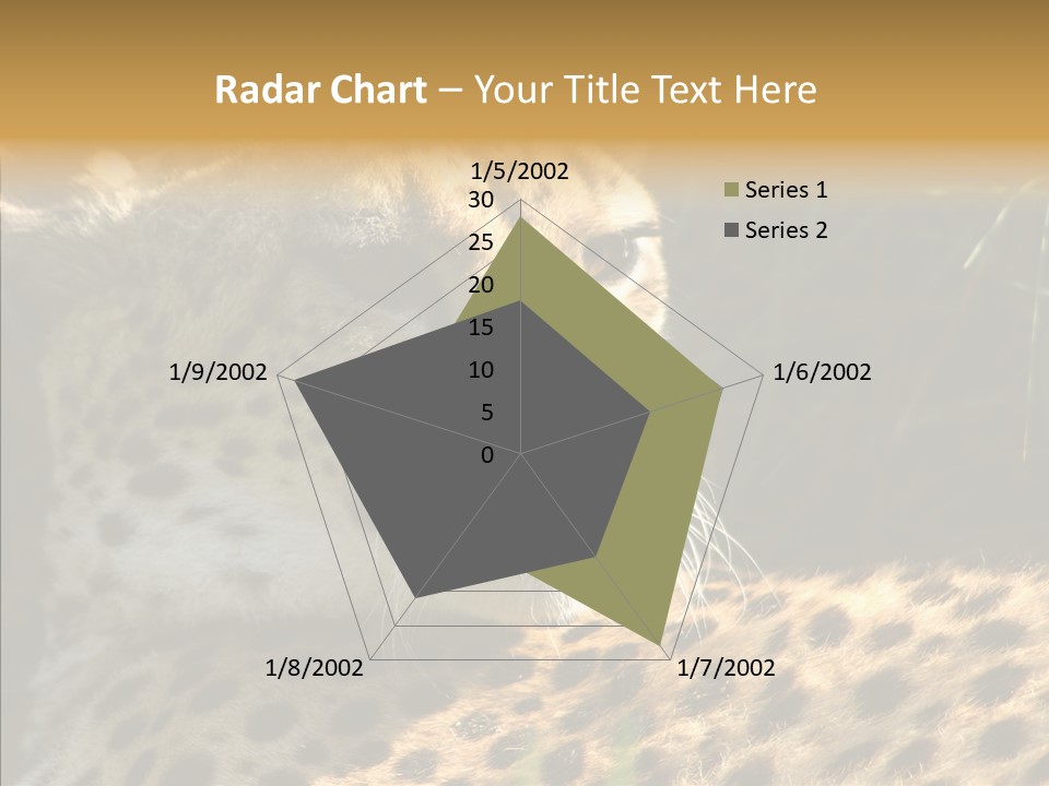 Fauna Animal Animales PowerPoint Template