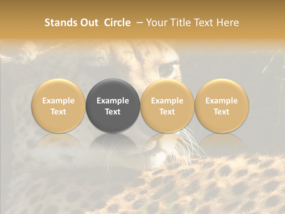 Fauna Animal Animales PowerPoint Template
