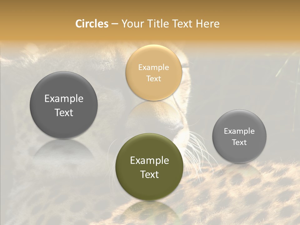 Fauna Animal Animales PowerPoint Template