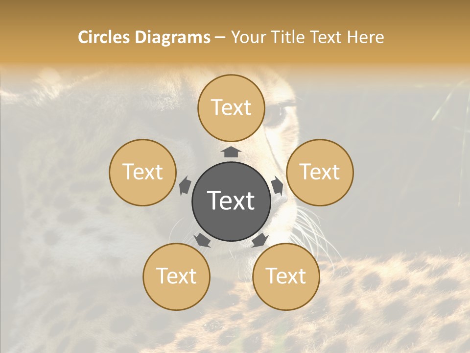 Fauna Animal Animales PowerPoint Template