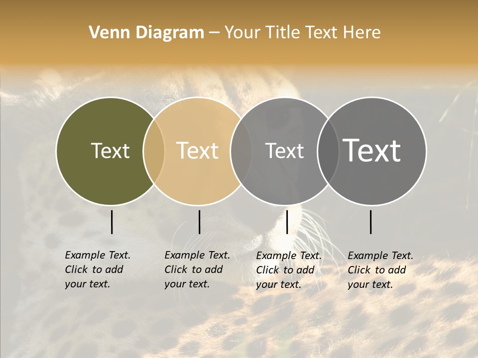 Fauna Animal Animales PowerPoint Template