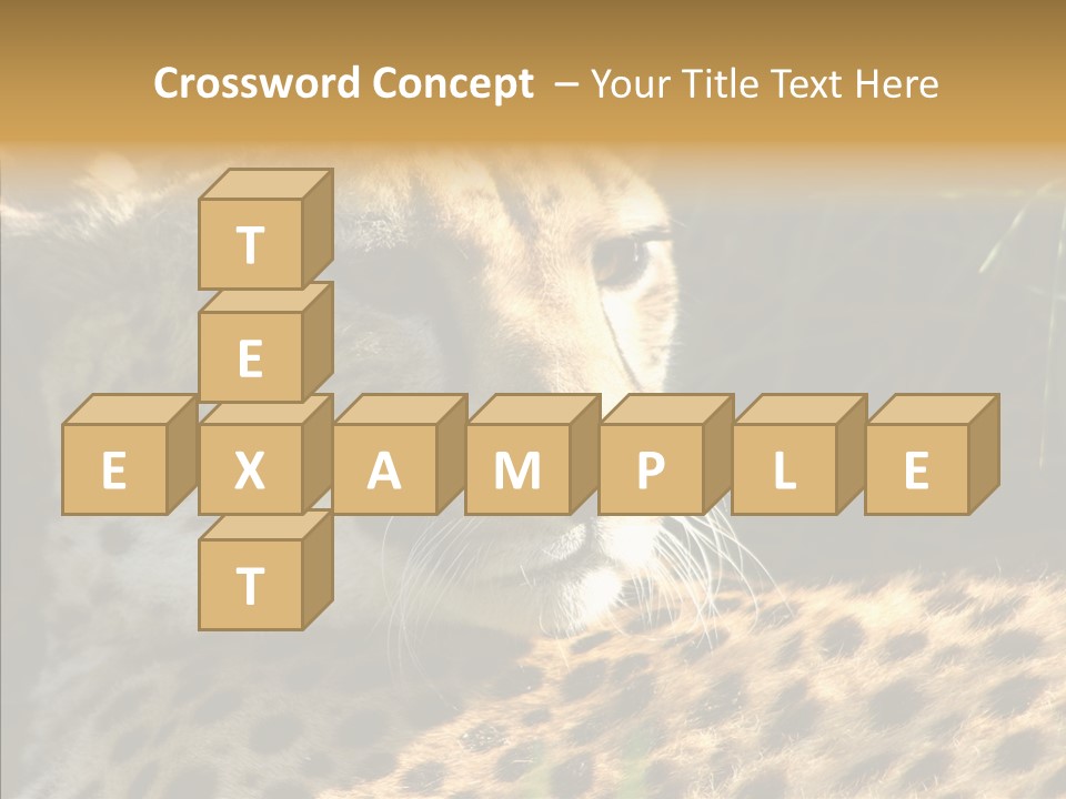 Fauna Animal Animales PowerPoint Template