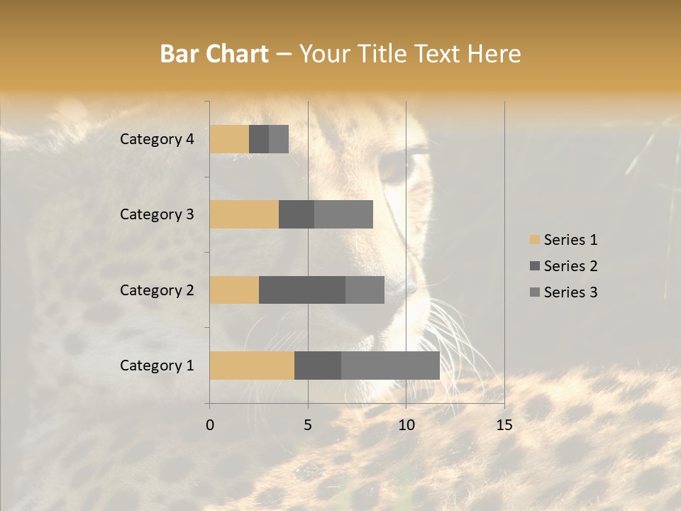 Fauna Animal Animales PowerPoint Template