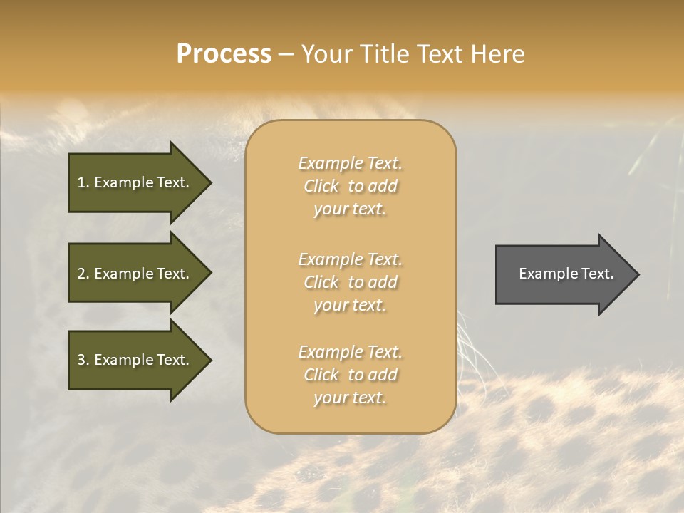 Fauna Animal Animales PowerPoint Template