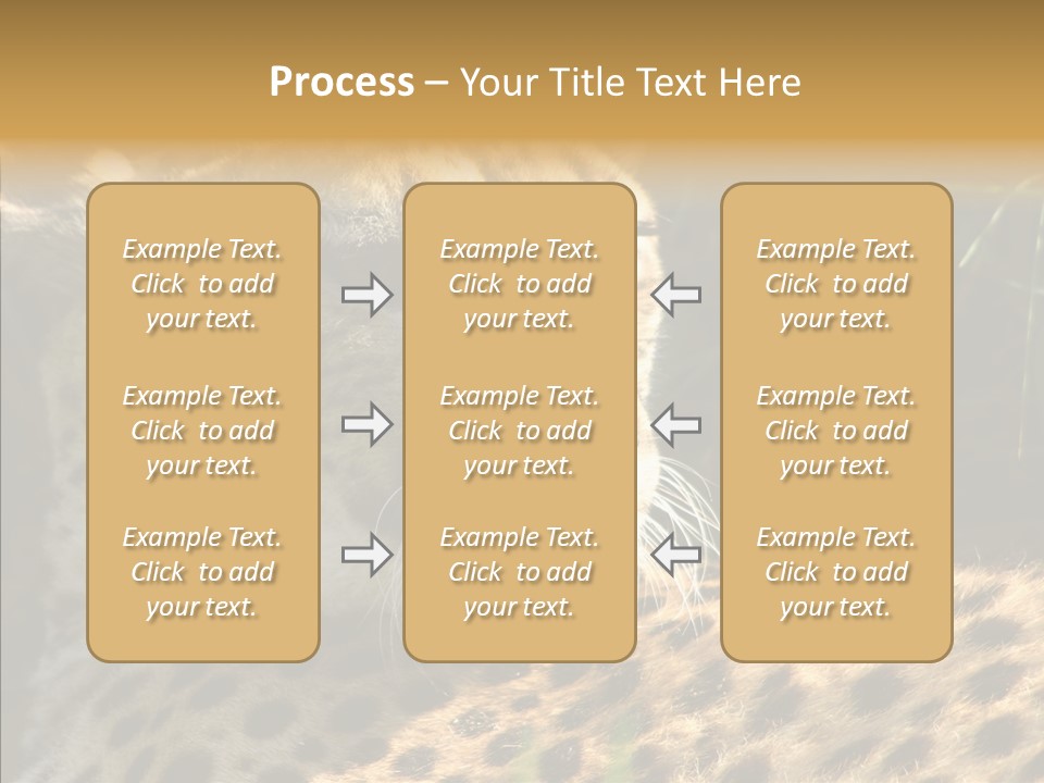 Fauna Animal Animales PowerPoint Template