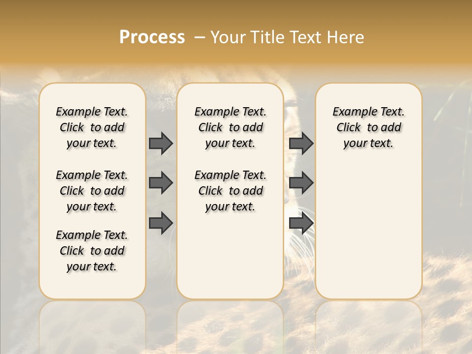 Fauna Animal Animales PowerPoint Template