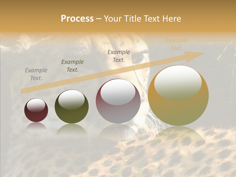 Fauna Animal Animales PowerPoint Template