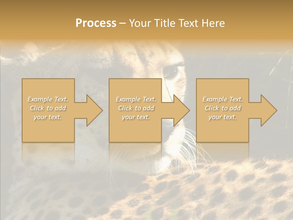 Fauna Animal Animales PowerPoint Template