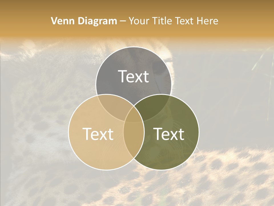 Fauna Animal Animales PowerPoint Template