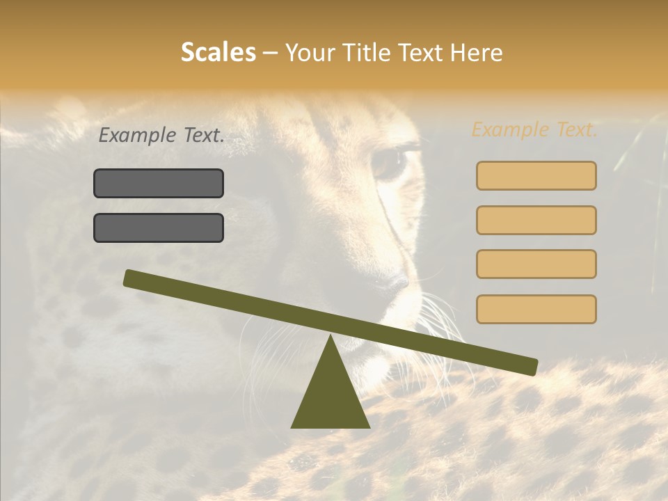 Fauna Animal Animales PowerPoint Template