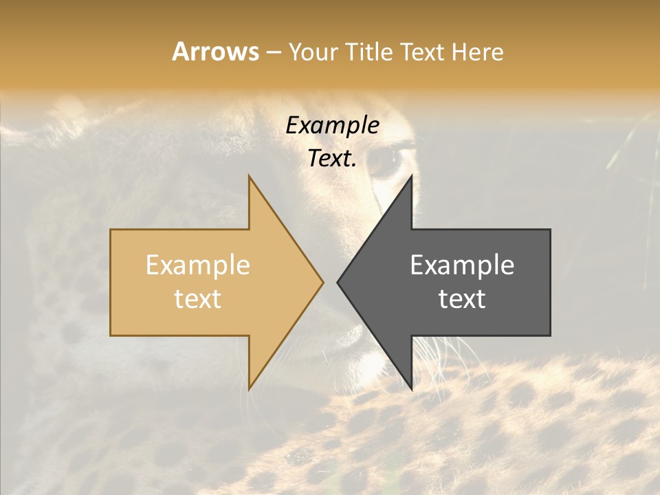 Fauna Animal Animales PowerPoint Template