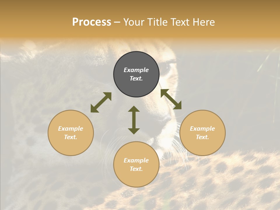 Fauna Animal Animales PowerPoint Template