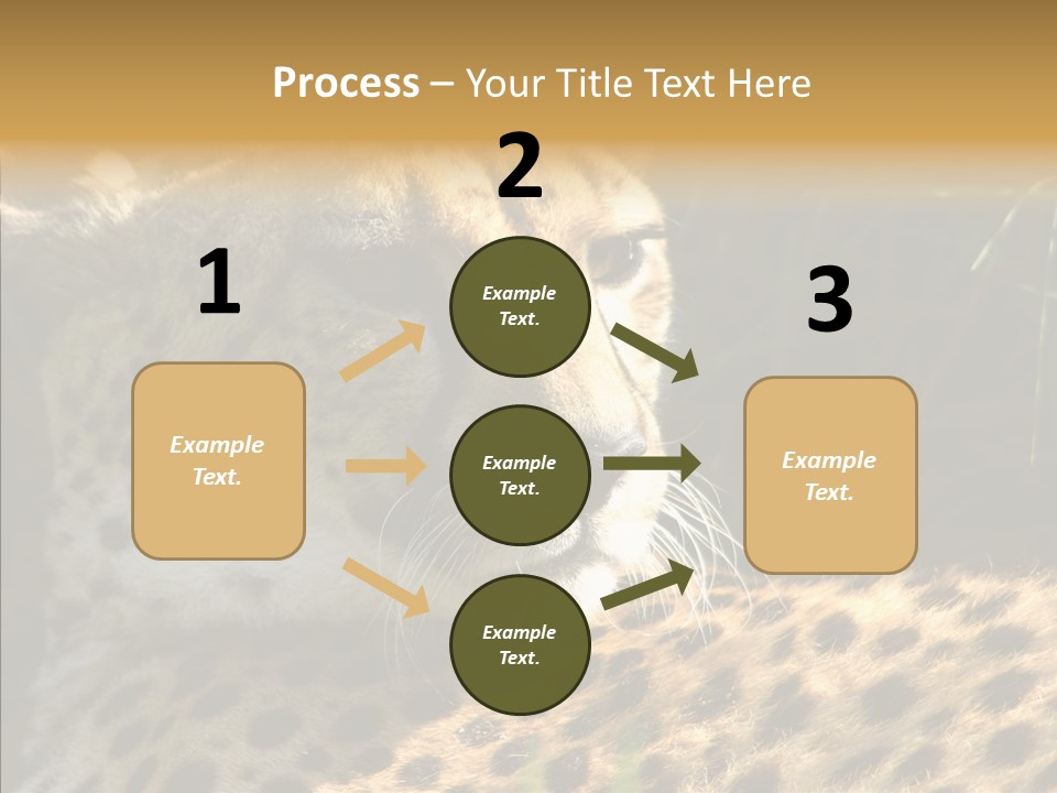 Fauna Animal Animales PowerPoint Template