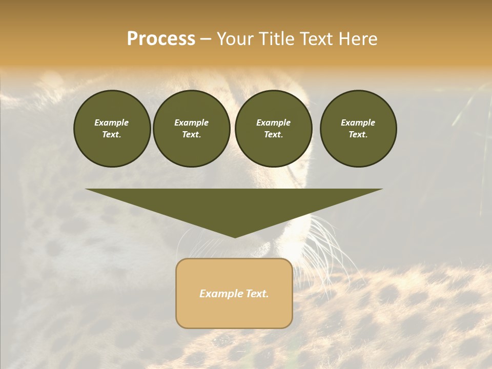 Fauna Animal Animales PowerPoint Template