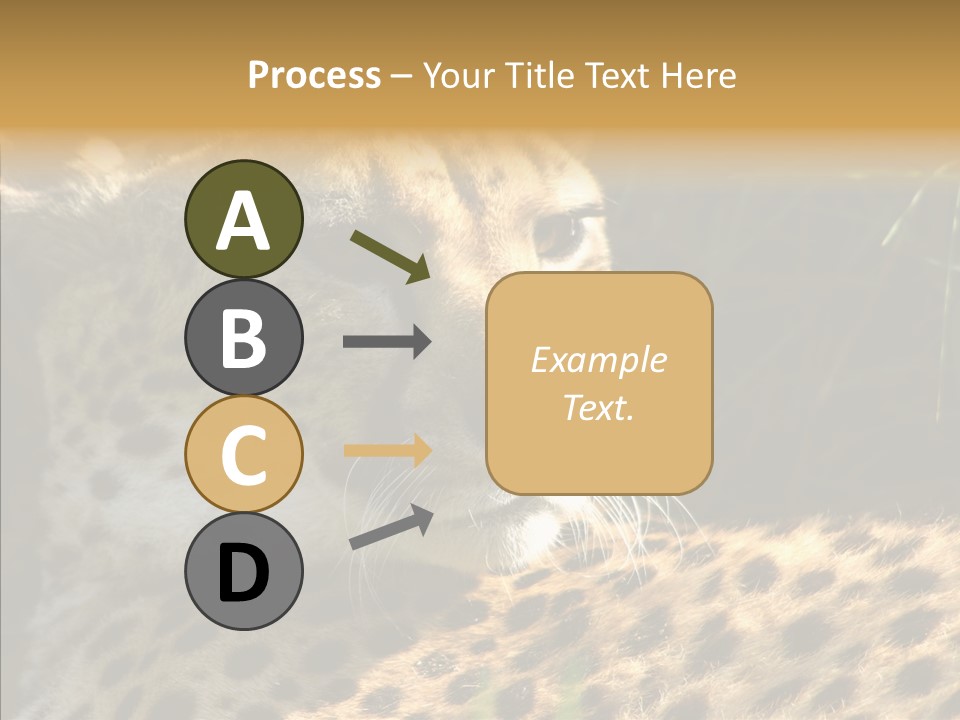 Fauna Animal Animales PowerPoint Template