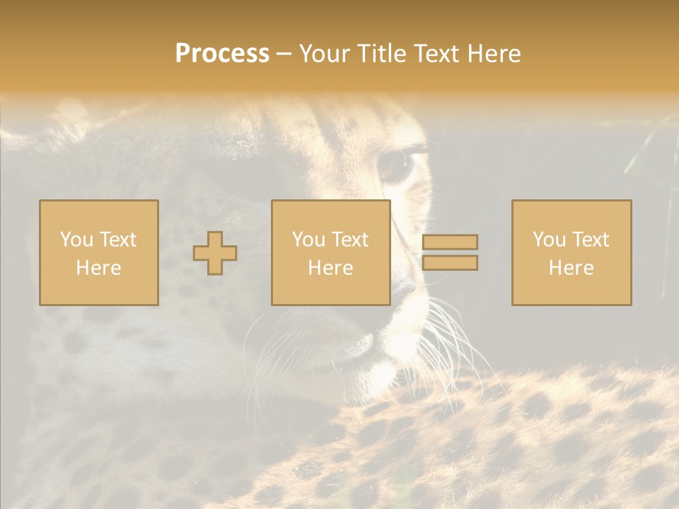 Fauna Animal Animales PowerPoint Template