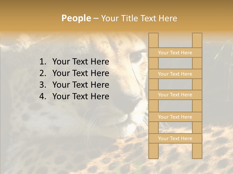 Fauna Animal Animales PowerPoint Template