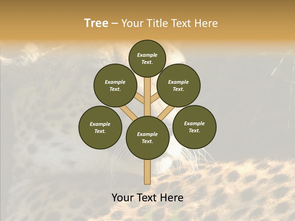 Fauna Animal Animales PowerPoint Template