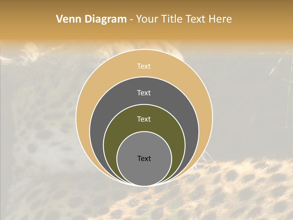 Fauna Animal Animales PowerPoint Template