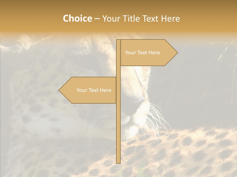 Fauna Animal Animales PowerPoint Template