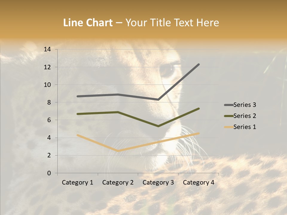 Fauna Animal Animales PowerPoint Template